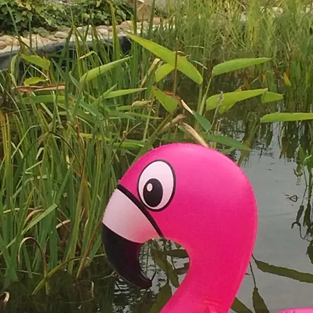 Chezlemoulin-boulangerie 度假居