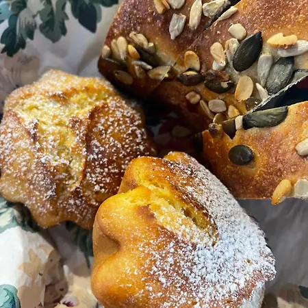 Chezlemoulin-boulangerie Casa vacanze Samouillan
