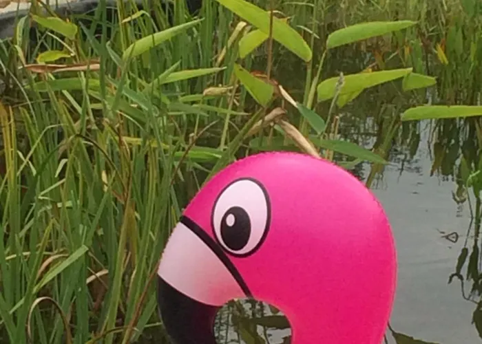 Chezlemoulin-boulangerie Сasa de vacaciones